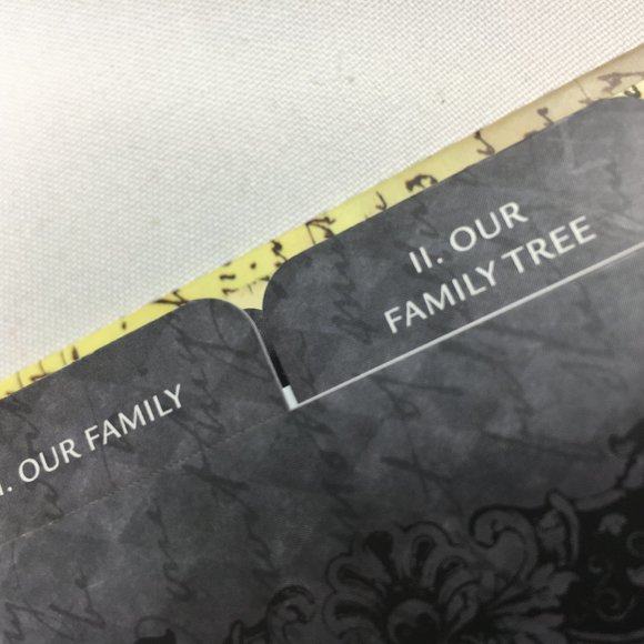 GENEALOGY  Family Tree Legacies Preserving Memories Keepsake Workbook NWOT - Picture 7 of 16